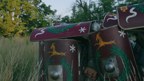 roman shields displayed in field