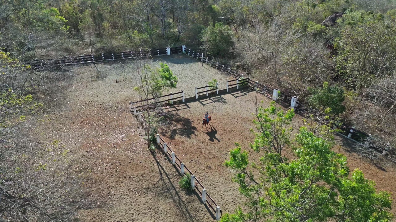 A woman riding a brown horse through a dry landscape with green trees and brown branches, capturing a natural rustic environment with earthy tones, outdoor adventure, and a warm countryside feel.