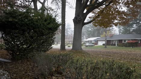 A-front-yard-full-of-leaves-on-a-soft-Misty-Morning