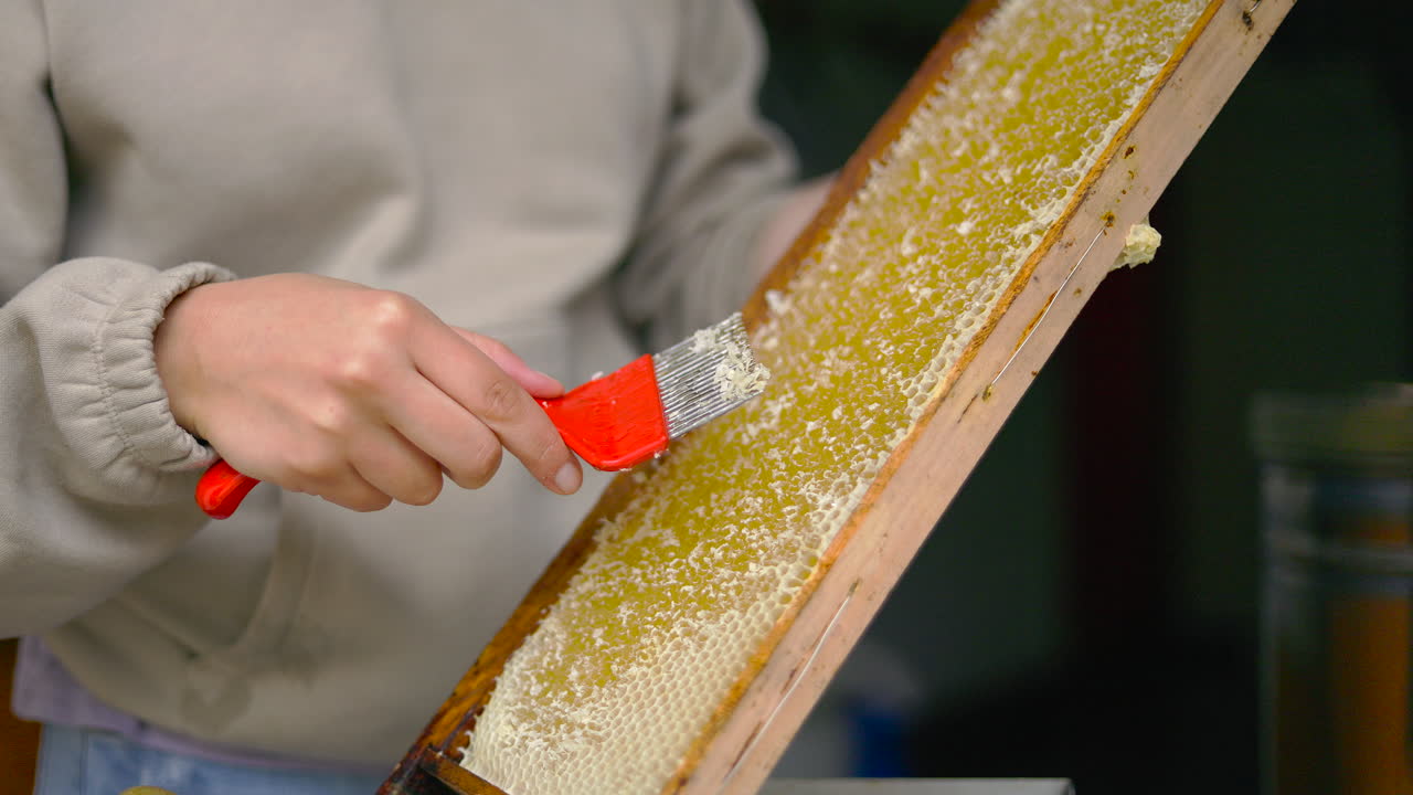 Beekeeper uncapping honeycombs to extract the precious natural sweetener produced by bees
