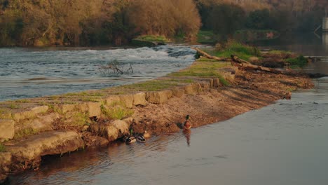 ducks rest on a calm riverbank with gentle ripples and warm golden light