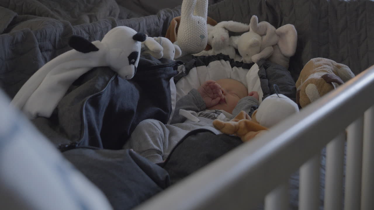 Adorable Newborn Baby Sleeping Peacefully Surrounded by Stuffed Animals in Crib