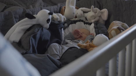 adorable newborn baby sleeping peacefully surrounded by stuffed animals in crib