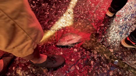 pedestrians walk past a dead fish on pavement.