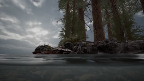 Half-underwater-in-northern-sea-with-rocks