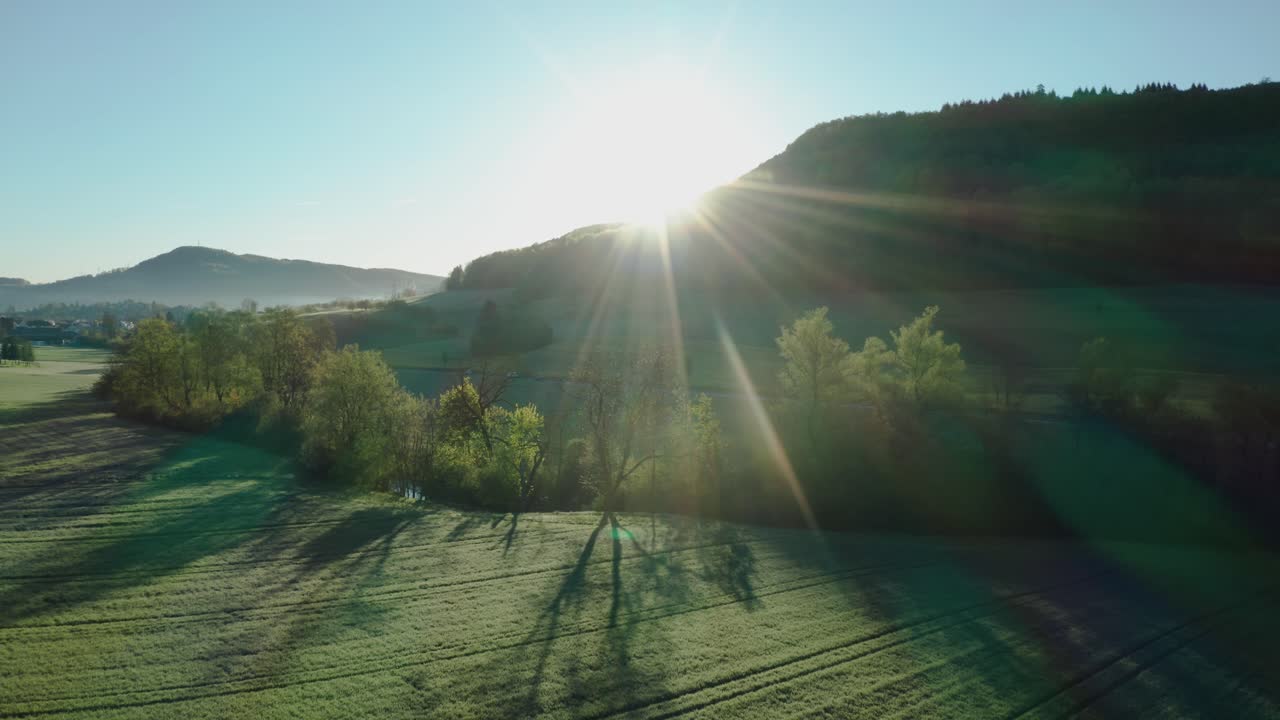 스위스에서 아침 시간 동안 자동차 트랙과 녹지 옆에 있는 나무로 뒤덮인 작은 강