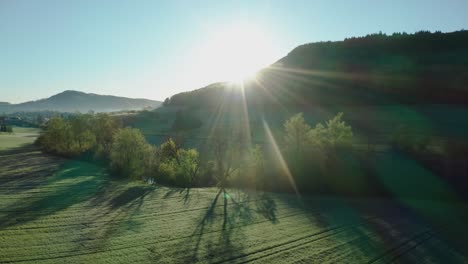 small river covered in trees aerial shot next to car track and green fields during morning hours in switzerland