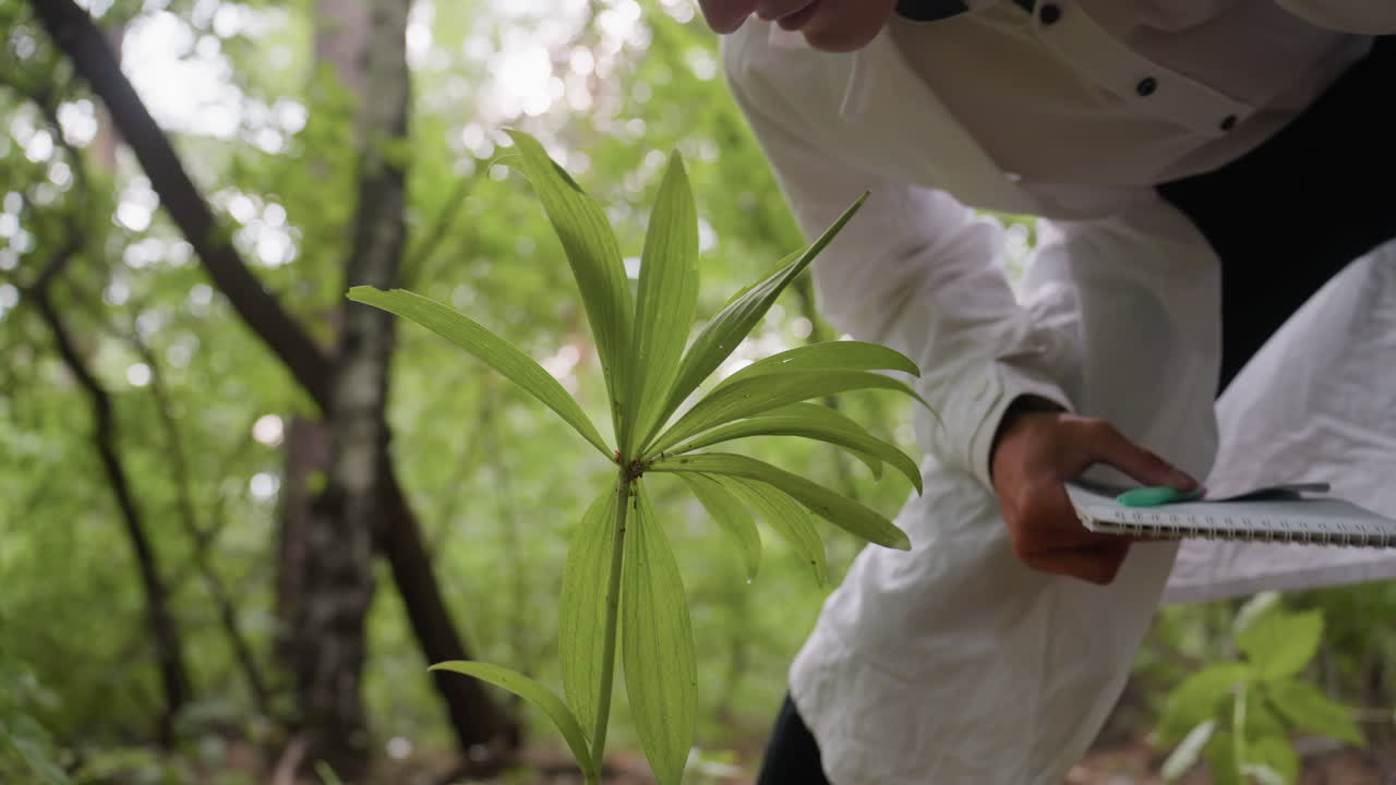 Scientific researcher in white coat holding jotter bending down to observe flower in forest, focusing on plant study, ecological research, and documentation of natural environment