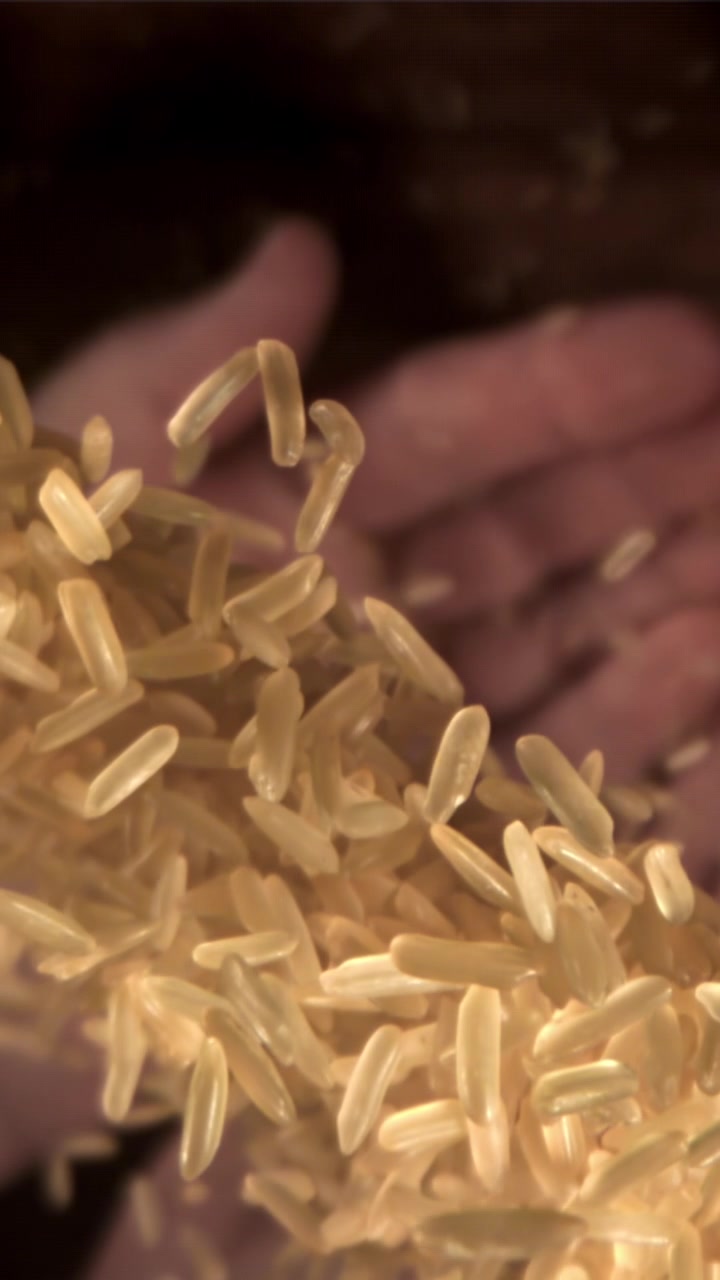 Chicchi di riso dorati che cadono tra le mani