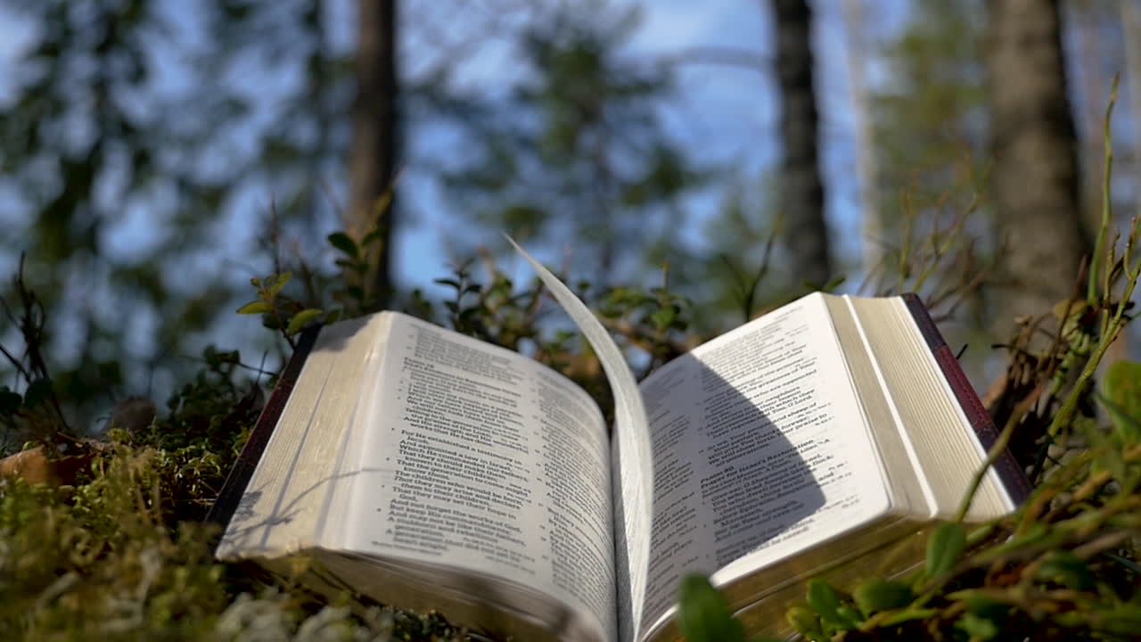 biblia abierta en el bosque con el viento volteando las páginas
