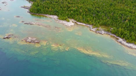 aerial drone fly above blue coastline with pine forest of gregorian bay canada beautiful panoramic landscape