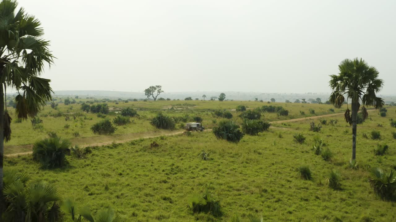Auto in corsa su strada sterrata durante un safari in Africa, sfrecciando tra gli alberi.
