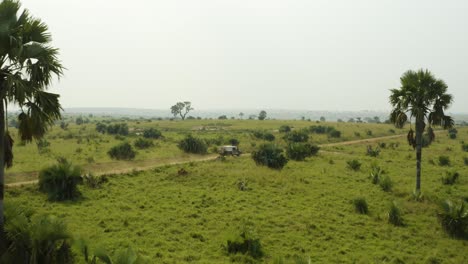 Car-driving-along-dirt-road-on-safari-in-Africa-flying-between-trees