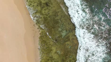 top down drone shot over untouched amami beach showing shallow reef