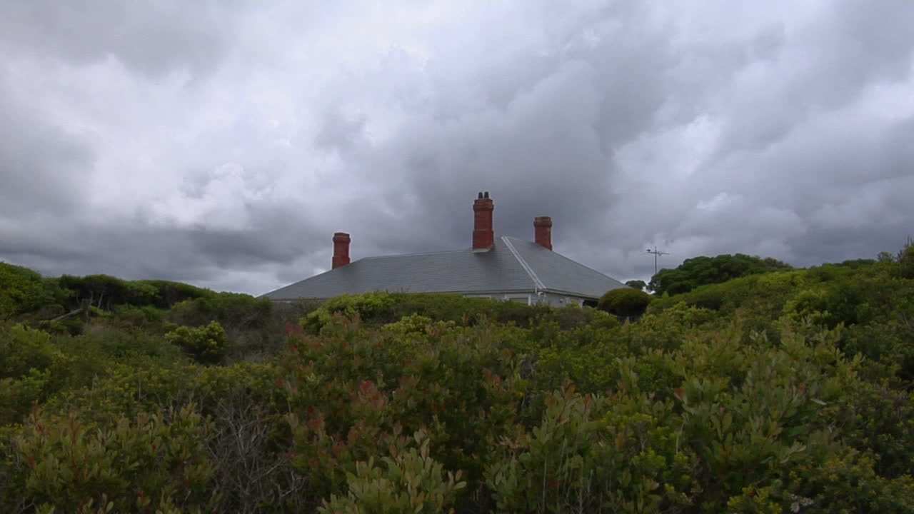집은 흐린 하늘에서 나무 위로 엿보는 지붕으로 부분적으로 숨겨져 있습니다.