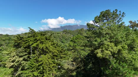 Vista-Aérea-Sobre-El-Bosque-De-árboles-En-Las-Montañas-Y-El-Cielo-Azul-En-Verano