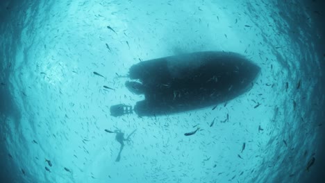 unique silhouette perspective of a large boat with snorkelers swimming and floating in the clear blue water with masses of schooling fish