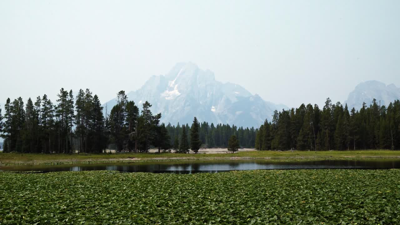 paisaje natural que se inclina hacia arriba del estanque de garzas en una caminata en el parque nacional grand teton