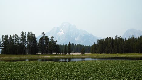 Nature-landscape-tilting-up-shot-of-the-Heron-Pond-up-a-hike-in-the-Grand-Teton-National-Park