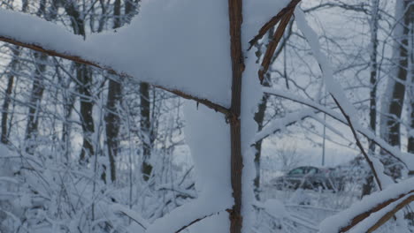 Close-Up-View-Of-Snow-Frost-Resting-On-Thin-Bare-Branches