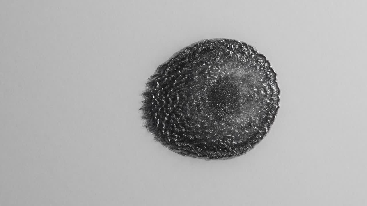 una entidad plateada brillante se mueve lentamente en un mundo blanco