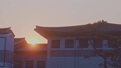 asian korean chinese japanese traditional national houses construction buildings in the city town urban area sunlight sunset time