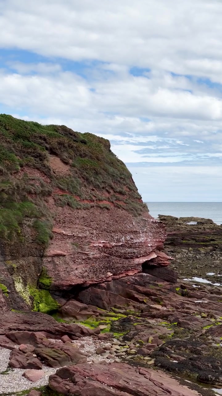 La telecamera panoramica su scogliere di arenaria rossa, costa rocciosa, alghe marine e pozze di marea sotto la luce del giorno.