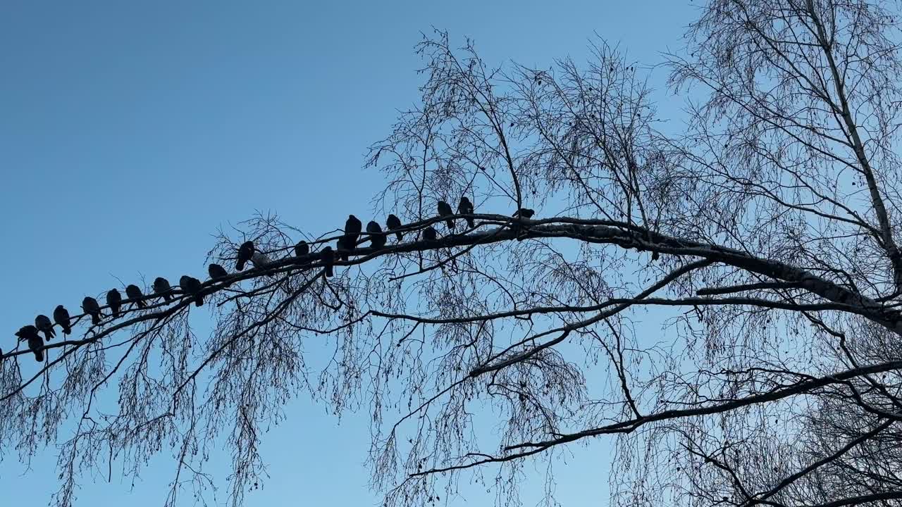 We are just flying together