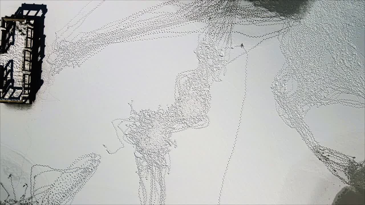 얼어붙은 낚시 연못의 하향식 샷