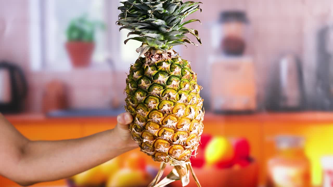 손에 있는 파인애플