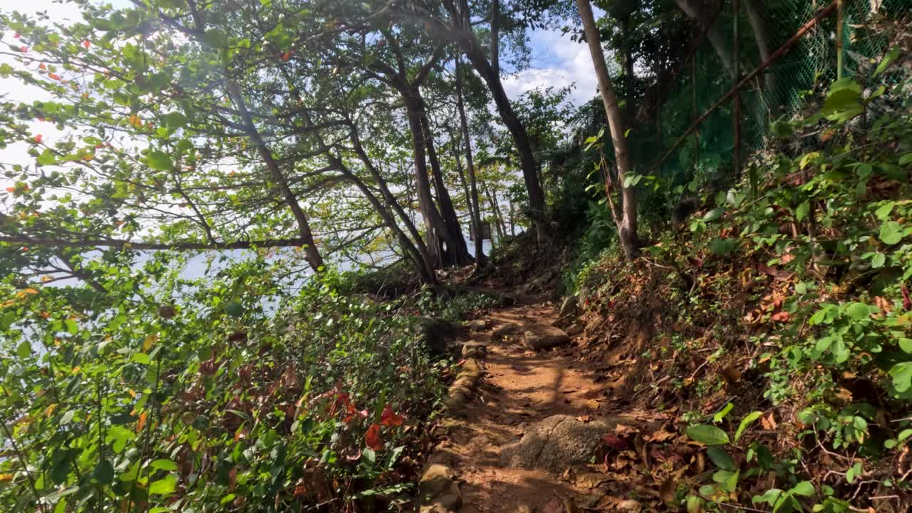 태국 푸켓의 조용한 숲길, 울창한 초록색과 바다 전망, 자연 조명은 조용한 분위기를 향상시니다.