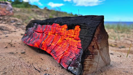 slow motion landscape of wooden log on fire flame hot embers burning charcoal on sandy beach lakeside campsite firewood fuel heat ash coals warmth