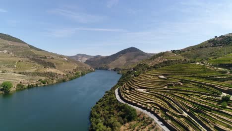 campos de uvas en el valle del duero, portugal