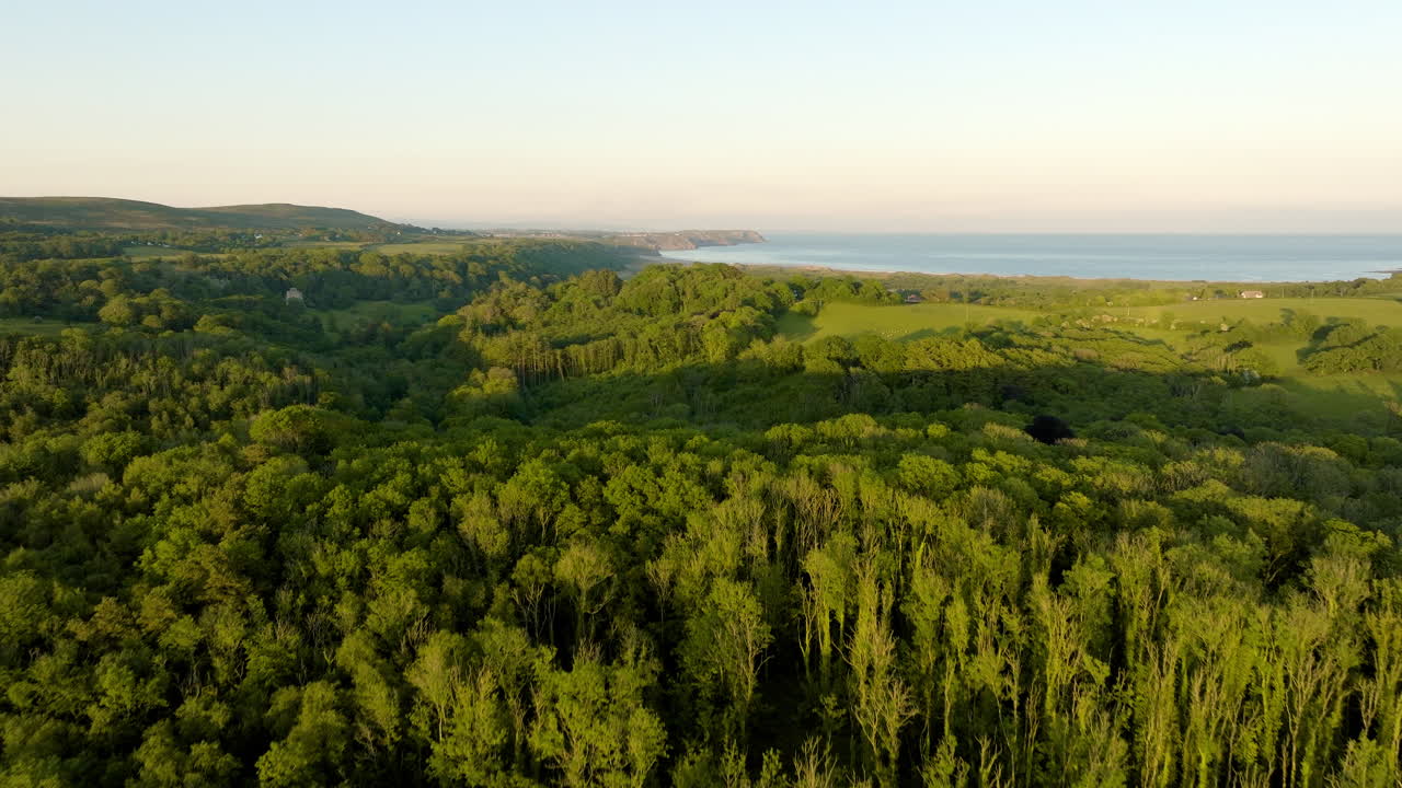 Scenic Coastal Forest Landscape Aerial View