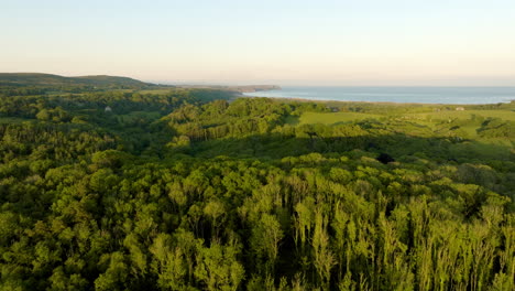 scenic coastal forest landscape aerial view