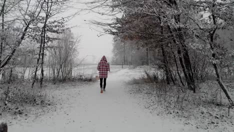 Niña-En-Abrigo-A-Cuadros-Con-Perro-Caminando-Por-Un-Suelo-Nevado-Durante-Una-Nevada-En-Invierno