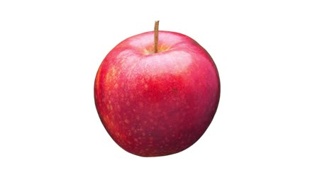 red apple isolated.