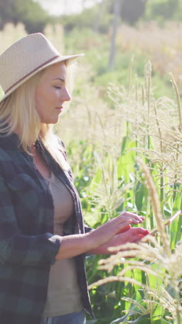 video of happy caucasian woman using tablet in field on sunny day