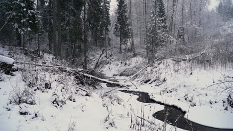 Verschneite-Weiße-Waldlandschaft-Mit-Bach-In-Der-Natur,-Lange-Drohnenaufnahme