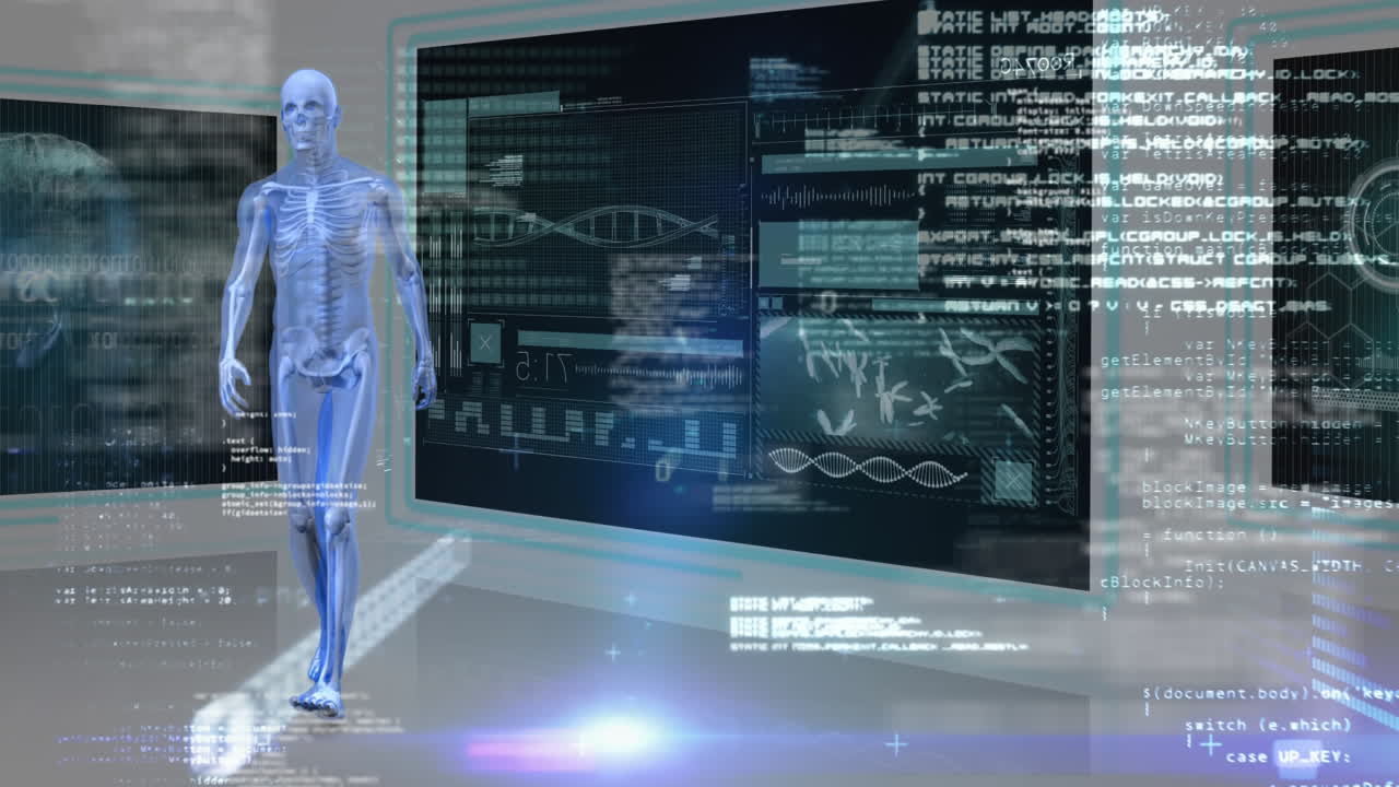 anatomía humana caminando