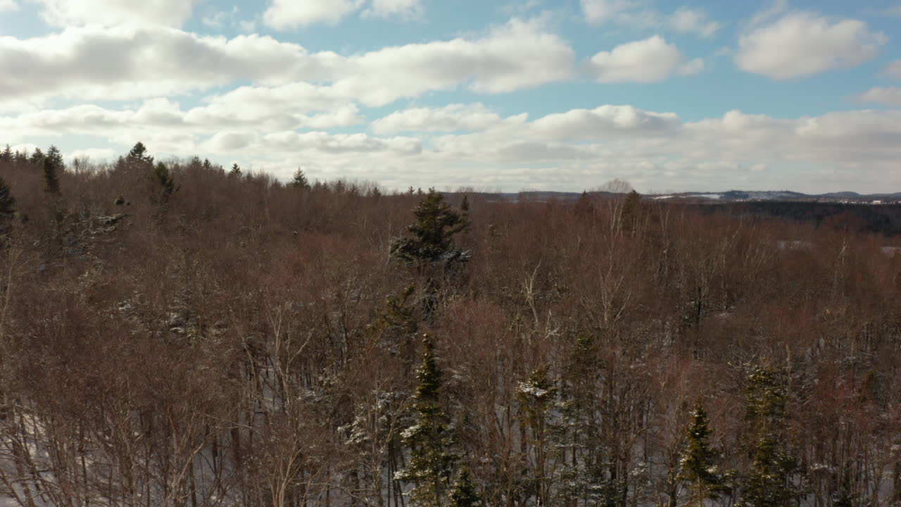 vista aérea volando sobre un bosque cubierto de nieve para revelar un paisaje de humedales congelados