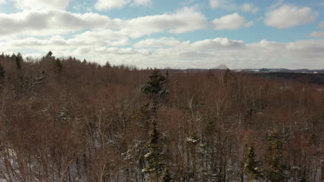 Aerial-view-flying-over-a-snow-covered-forest-to-reveal-a-frozen-wetland-landscape