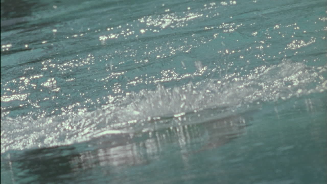 A woman swims in a pool 1
