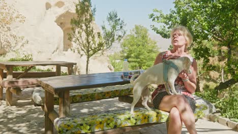 Friendly-cute-small-dog-petted-by-blonde-woman-at-picnic-table