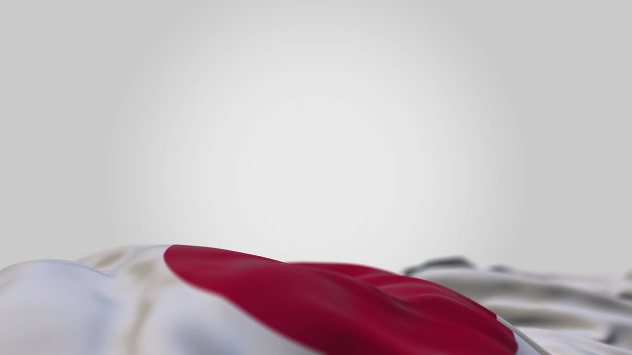 수평으로 흔들리는 일본 발