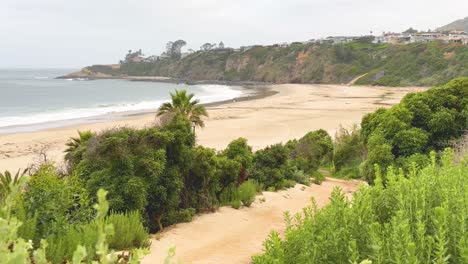 a beautiful beach in dana point, california