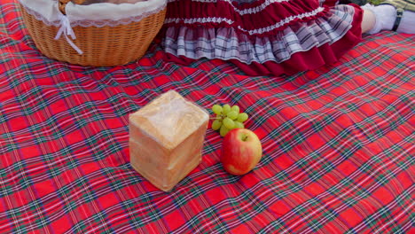 Una-Mujer-Saca-Fruta-Y-Pan-De-Una-Canasta-Y-Los-Coloca-Sobre-Una-Manta-Roja-Para-Hacer-Un-Picnic.