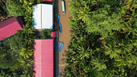 top-down flight over a river flowing next to a coconut plantation in bến tre, vietnam, asia while following a boat