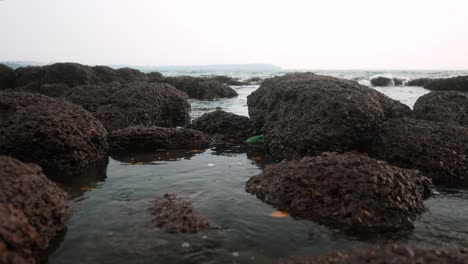 Rocky-shore-with-tide-pools-at-dawn