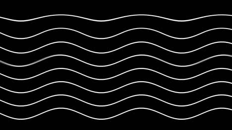 graphic black background with flowing curved white lines